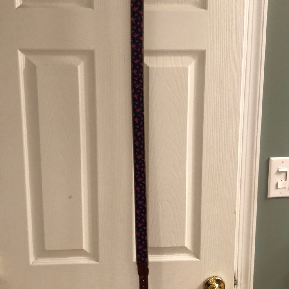 Barron’s hunt pink elephant belt